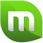 Mint Logo