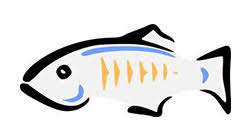 Glassfish