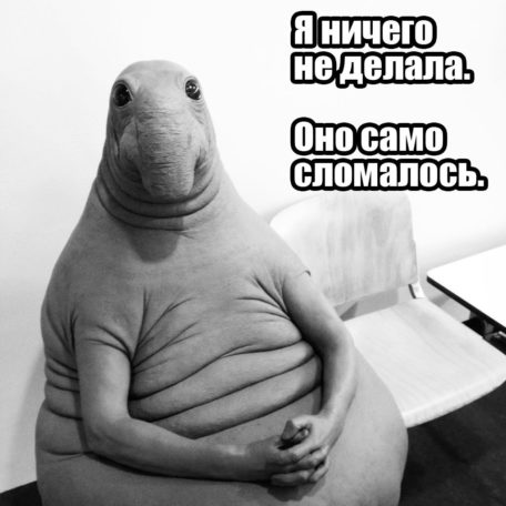 Немного подождал