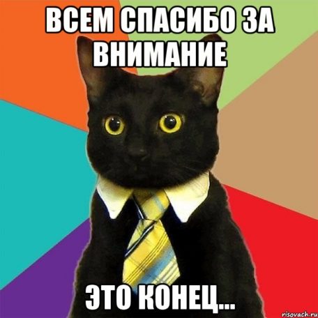 Кот